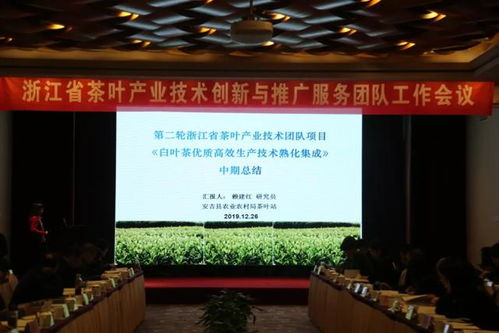 浙江省茶叶产业技术创新与推广服务团队工作会议在杭举行 凝聚智慧，共促产业升级