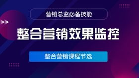 营销总监必备 常见推广渠道的深度优化策略与技术赋能