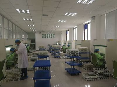 夏庄、贺店工作队赴兰考考察构树产业扶贫项目 技术推广助力乡村振兴