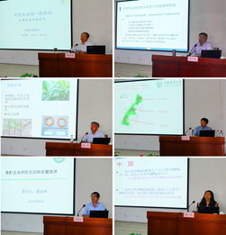 技术推广服务中心 推动技术创新与产业升级的重要平台